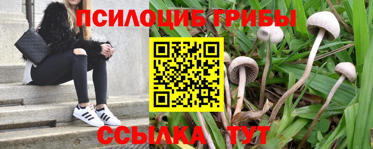 Чапаевск  Галлюциногенные грибы MAGIC MUSHROOMS  Псилоцибиновые грибы ЛСД  Вход с VPN 
